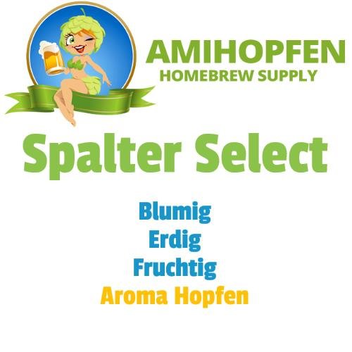 Spalter Select, ca 4,5% Alpha Ernte 2023 Pellets